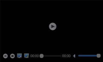 video window controls