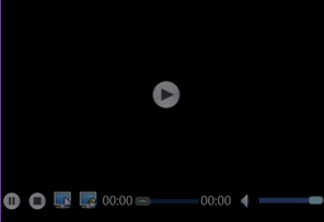 video window controls